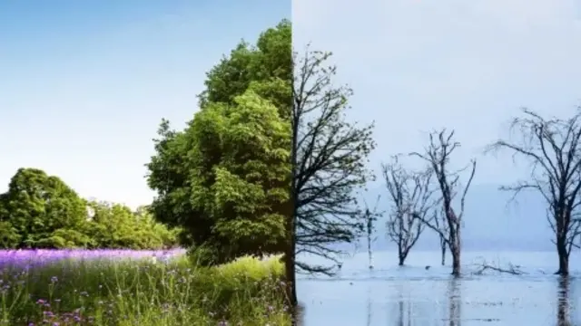 Fakta Tentang Perubahan Iklim